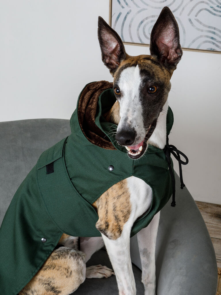 HANNOVER COTTON COAT